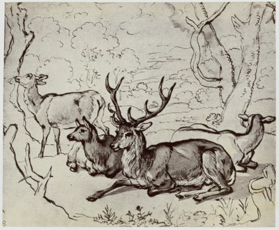 Cavaleiro, um cervo de Philip Henry Delamotte