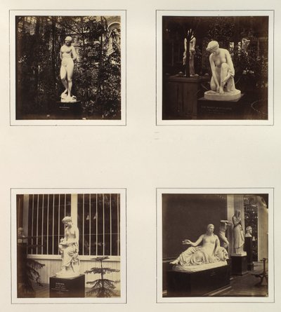 [Esculturas de Andrómeda, a Sanita de Atalanta, Corinna, e um Naïad], ca. 1859. de Philip Henry Delamotte.