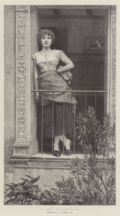 Uma rosa de provence de Philip Hermogenes Calderon