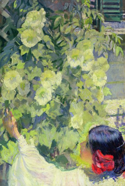Malvas-rosa, c.1923 (óleo sobre tela) de Philip Leslie Hale