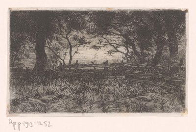 Prado com cerca e árvores
Kranenburg (título original) de Philip Zilcken