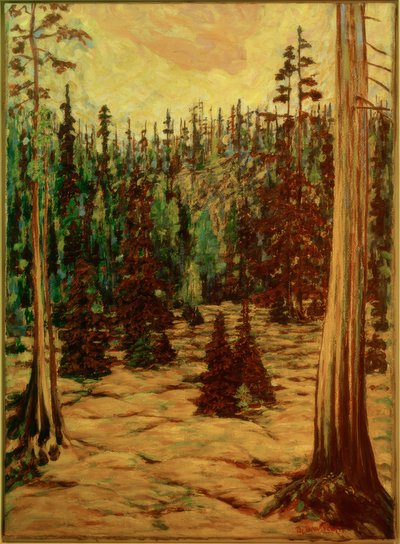 Sommerwald de Philipp Bauknecht