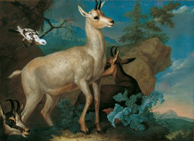 Três camurças e um melro de Philipp Ferdinand de Hamilton