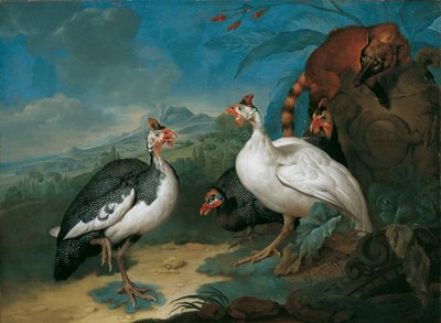 Pintadas e pintadas de Philipp Ferdinand de Hamilton
