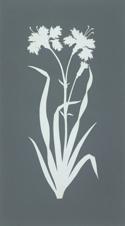 Cravo (colagem sobre papel) de Philipp Otto Runge