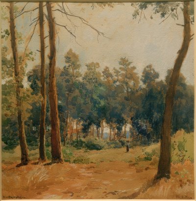 Paisagem florestal perto de Hartmannshofen de Philipp Röth