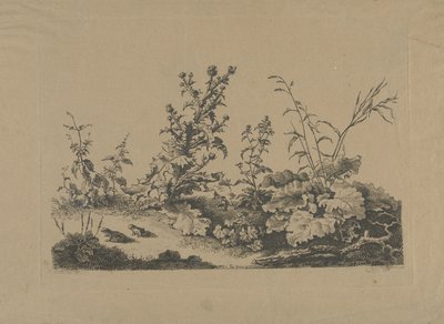 Estudo de paisagem com cardos e sapos de Philippe Cardon