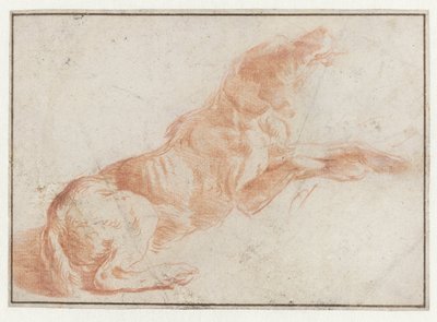 Cão Reclinado de Philips Wouwerman (possibly)