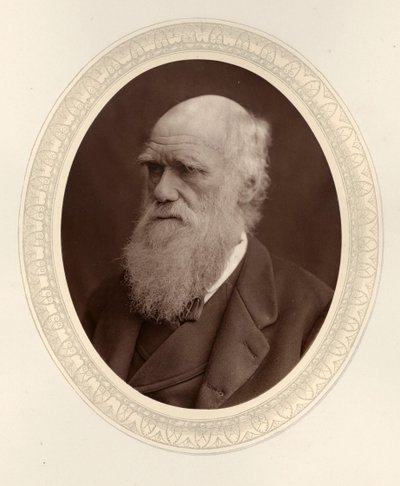 Retrato de Charles Darwin 1809-1882, 1877. de Photo studio Lock and Whitfield
