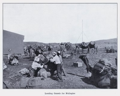 Carregamento de camelos para Nullagine (foto a p/b) de Photographer Australian