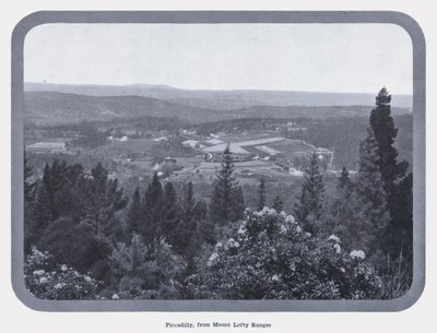 Piccadilly, de Mount Lofty Ranges (foto a p/b) de Photographer Australian