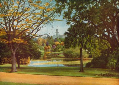  de Photographer Australian