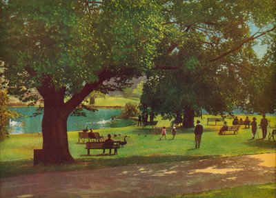  de Photographer Australian