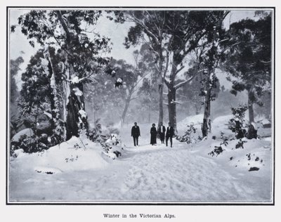 Inverno nos Alpes Vitorianos (foto a p/b) de Photographer Australian