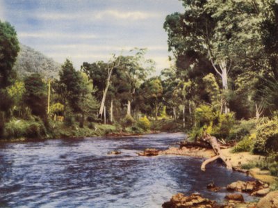 Rio Yarra (foto a cores) de Photographer Australian