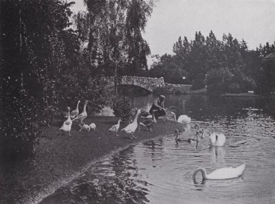 Lake, Beacon Hill Park, Victoria, British Columbia (foto a p/b) de Photographer Canadian