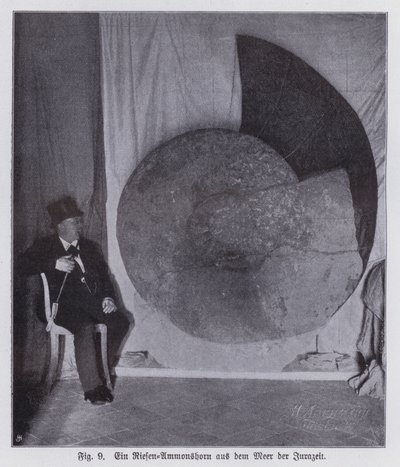 Fóssil de uma amonite gigante, criatura marinha do período Jurássico (foto a p/b) de Photographer German