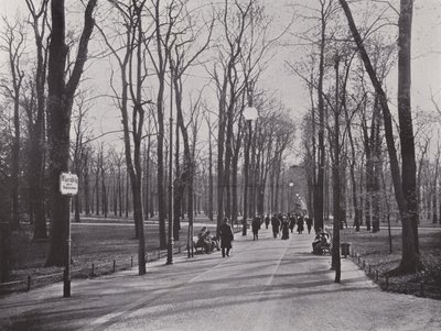 No Tiergarten, Ahornsteig (foto a p/b) de Photographer German