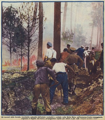 Camponeses e soldados combatendo um incêndio florestal na Floresta Negra, Alemanha de Photographer German