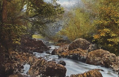 Irlanda: Em The Dargle, County Wicklow (foto a cores) de Photographer Irish