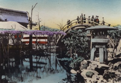 Japão, c.1912: Terreno do Templo de Kameido, apontado para a flor de Wisteria em maio e Ponte do Tambor no groung (foto) de Photographer Japanese