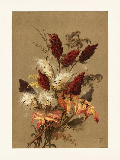 Sumagre e Algodoeiro, de Ellen Thayer Fisher de Pictufy