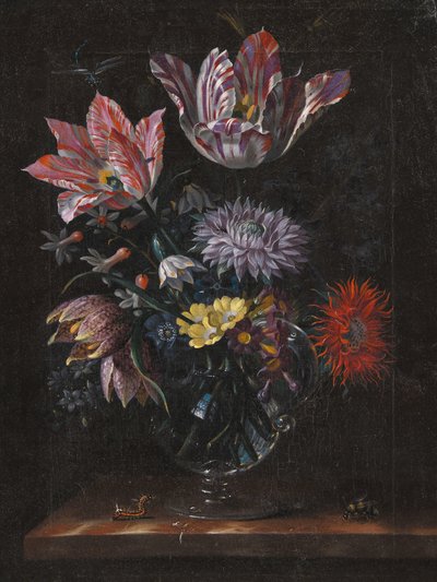 Desconhecido, por Jacob Marrel de Pictufy