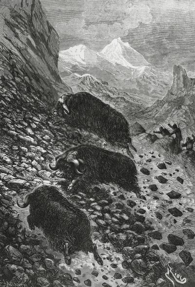 Bois almiscarados, cortados por Edouard Riou (1833-1900) de Blaise Nicolas Le Sueur