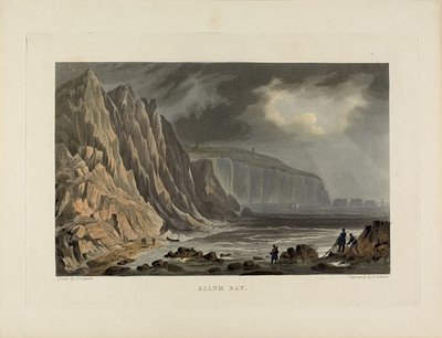 Baía do Alho de Piercy Roberts