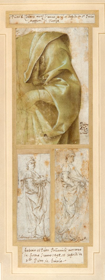 Um homem tem o braço esquerdo e o ombro fortemente drapeados (caneta e tinta marrom com lavagem verde, acentuada com a cor branca do corpo em papel branco) de Piero di Cosimo