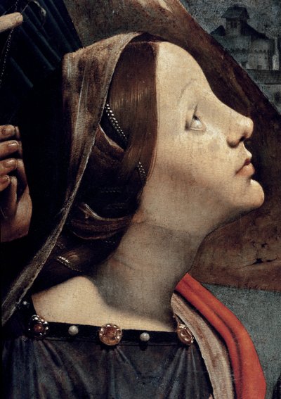 Santa Catarina de Alexandria, detalhe da Virgem e do Menino no trono rodeado de santos (óleo e tempera no painel, cerca de 1493) de Piero di Cosimo