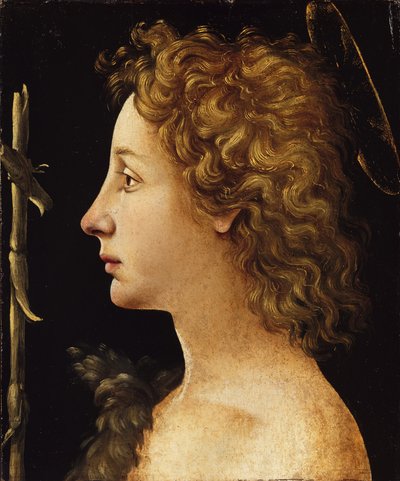 O Jovem São João Batista (têmpera e óleo sobre madeira) de Piero di Cosimo