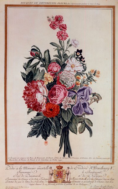 Bouquet de flores melange Litografia de Pierre Joseph de Pierre Joseph Buchoz