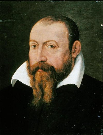 Jacques Dalechamps (1513-88) (óleo sobre painel) de Pierre (attr. to) Eskrich