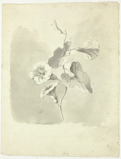 Glórias da manhã de Pierre Antoine Mongin