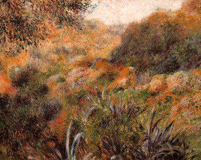 A paisagem argelina, a ravina da mulher selvagem de Pierre Auguste Renoir