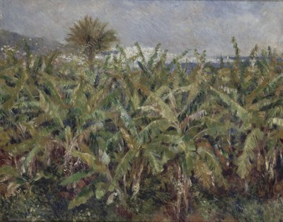 Campo de bananeiras Campo de bananeiras, 1881 de Pierre Auguste Renoir
