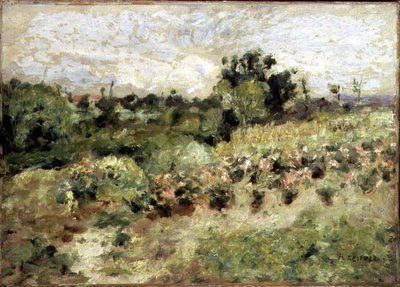 Campo de rosas (óleo sobre tela) de Pierre Auguste Renoir