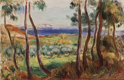Pinheiros em torno de Cagnes, c. 1910. de Pierre Auguste Renoir