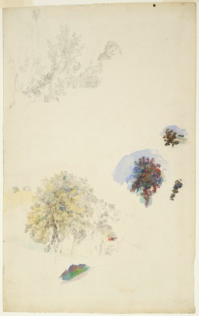 Estudos de árvores e folhagens de Pierre Auguste Renoir