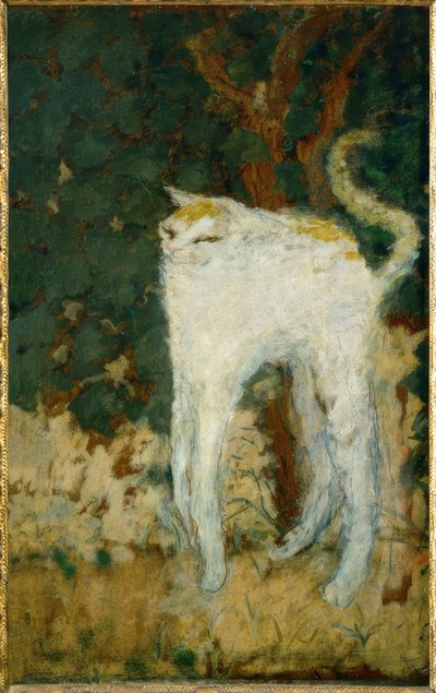 O gato branco de Pierre Bonnard