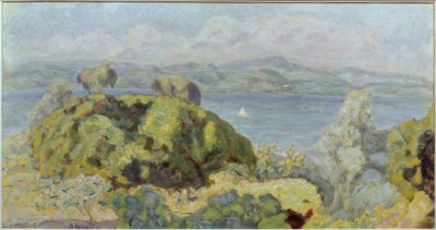 Paisagem ou tempestade de Pierre Bonnard