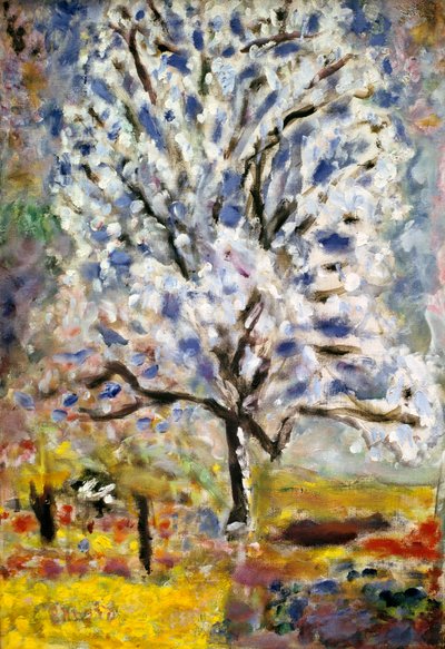 A Amendoeira em Flor, 1947 de Pierre Bonnard