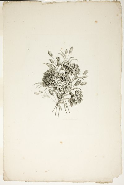 Buquê com Cravos, da Coleção de Diferentes Buquês de Flores, Inventado e Desenhado por Jean Pillement e Gravado por P. C. Canot de Pierre Charles Canot