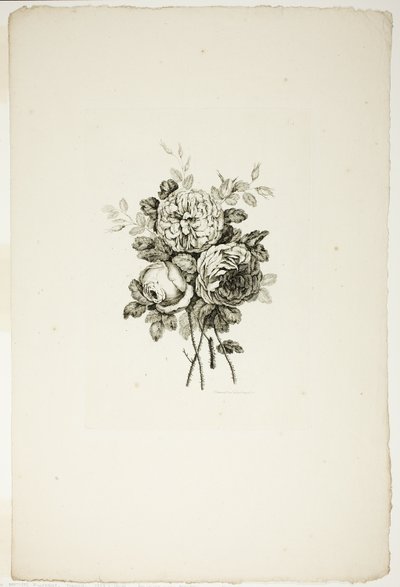 Buquê com Rosas, da Coleção de Diferentes Buquês de Flores, Inventado e Desenhado por Jean Pillement e Gravado por P. C. Canot de Pierre Charles Canot