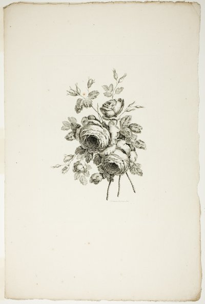 Buquê com Rosas, da Coleção de Diferentes Buquês de Flores, Inventado e Desenhado por Jean Pillement e Gravado por P. C. Canot de Pierre Charles Canot