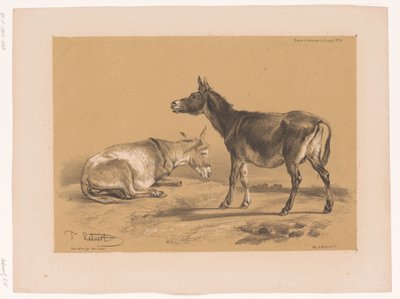 Estudo de dois burros Cooper