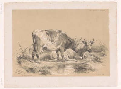 Estudo de duas vacas
Estudos com animais por Cooper (título da série)
Études d