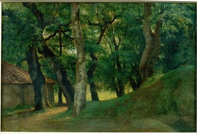 Foret de la Villa Borghese - Floresta da Villa Borghese ... de Pierre Henri de Valenciennes
