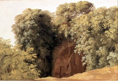 Ruínas de uma Arcada com Aglomerados de Relva de Pierre Henri de Valenciennes